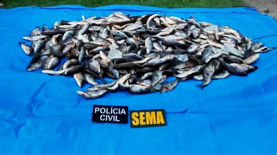Guarantã: Polícia apreende 220 quilos de peixes ilegais