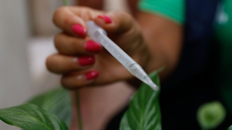 Ministra pede apoio da população para eliminar focos de dengue em casa