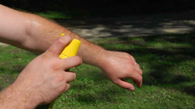 Especialistas recomendam uso de repelente até por quem estiver vacinado contra a dengue