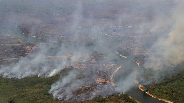Roraima tem 22% dos focos de queimada de todo o país