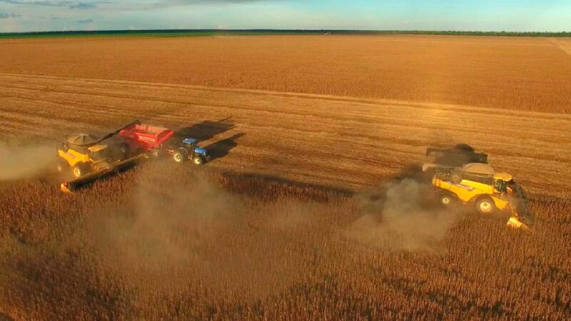 Colheita da soja em Mato Grosso passa de 84% da área