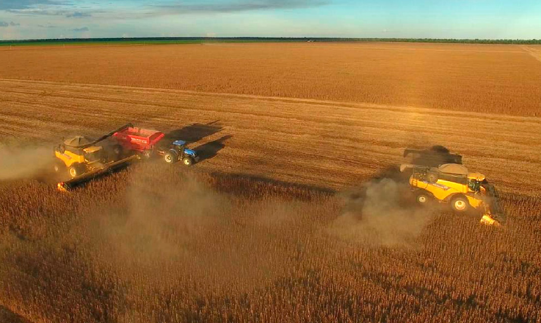 Colheita da soja em Mato Grosso passa de 84% da área