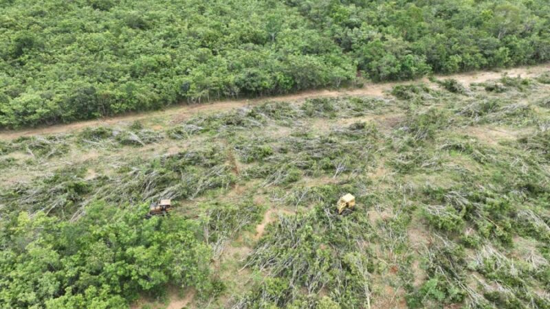 Operação conjunta contra crimes ambientais resulta em flagrantes e apreensões em Mato Grosso