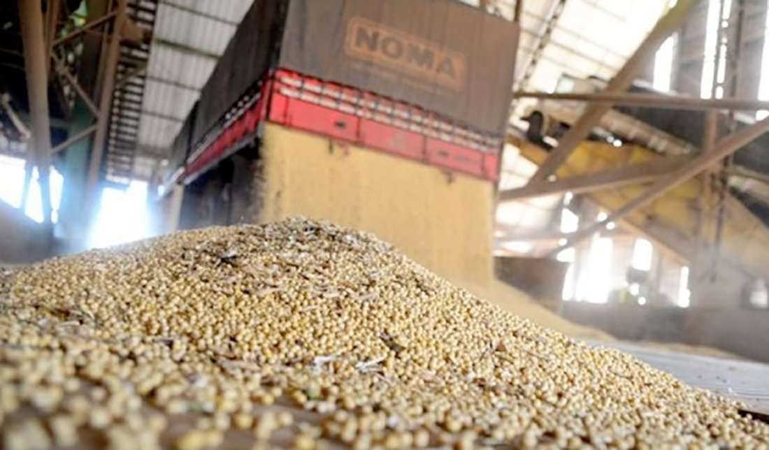 Esmagamento de soja em Mato Grosso cresce 19%; preço sobe
