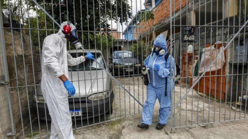 Capital paulista está perto de atingir índice epidêmico de dengue