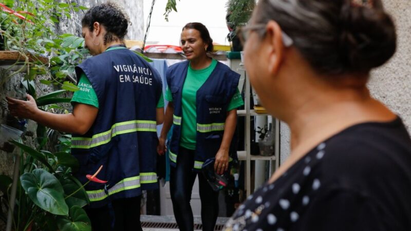 Em um mês, casos de dengue dobram em São Paulo