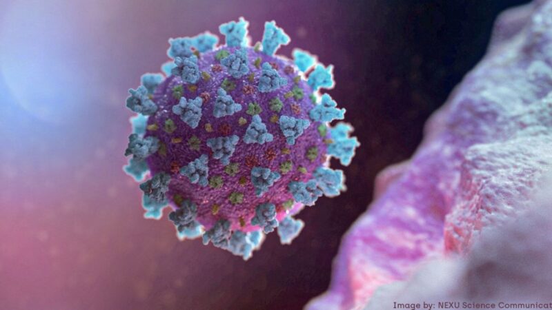 Pesquisa avalia sequelas da covid-19 na população brasileira