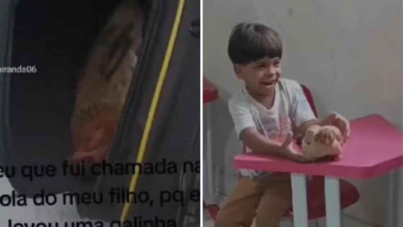 Menino leva galinha de estimação escondida na mochila para escola (vídeo)