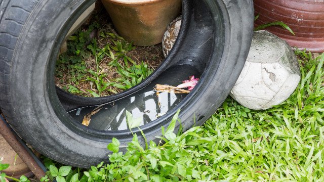 São Paulo enfrenta greve dos agentes de combate à dengue em meio a epidemia