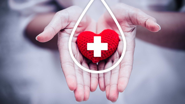 Diagnóstico de dengue e imunização exigem cautelas na doação de sangue