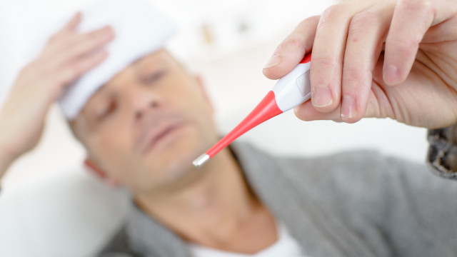 Entenda o que é a febre oropouche e como prevenir a doença