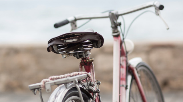 ‘Pedalada pelada’: ciclistas nus protestam por segurança no trânsito em SP