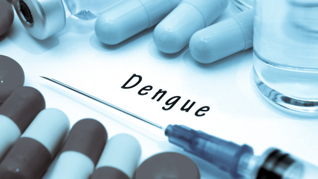 SP atinge marca de 100 mortes por dengue, com capital liderando casos de óbitos