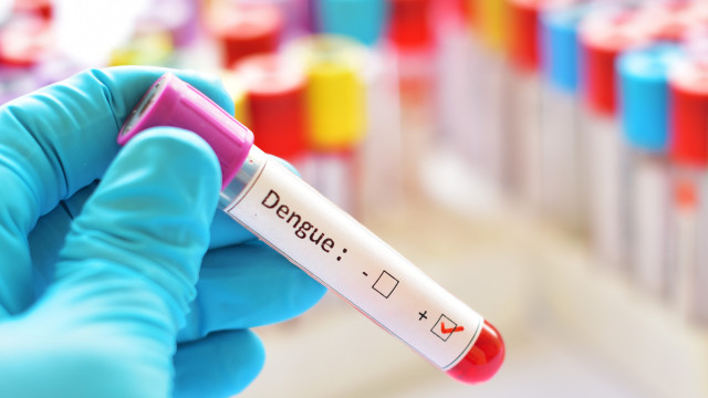 Desaceleração da dengue é tímida e pode ser resultado de atrasos na notificação