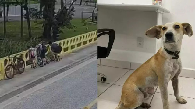 Mãe joga cachorro de ponte na frente dos filhos em SC
