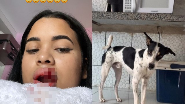 Influenciadora beija cachorro na boca e tem parte do lábdio arracado