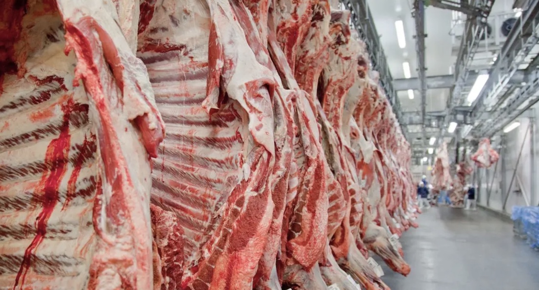 Venda da carne mato-grossense no exterior aumenta 25% mas preço cai 5%