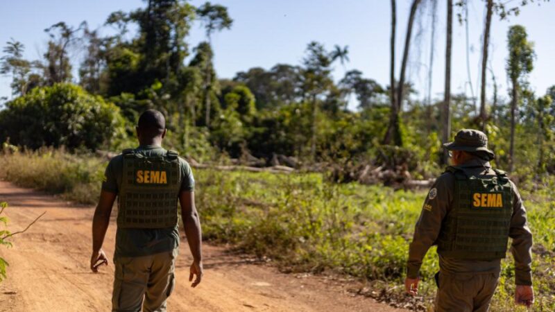 Governo de Mato Grosso intensifica combate aos crimes ambientais: Resultados promissores no primeiro bimestre de 2024