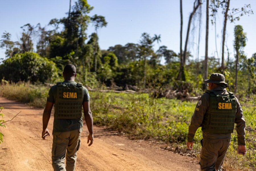 Governo de Mato Grosso intensifica combate aos crimes ambientais: Resultados promissores no primeiro bimestre de 2024