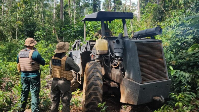 Operação Mata Virgem II: Combate ao desmatamento ilegal na região noroeste de Mato Grosso