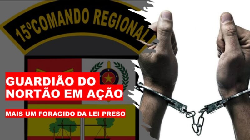Prisão por Mandado em Guarantã do Norte