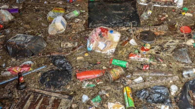 Rio Grande do Sul confirma segunda morte por leptospirose