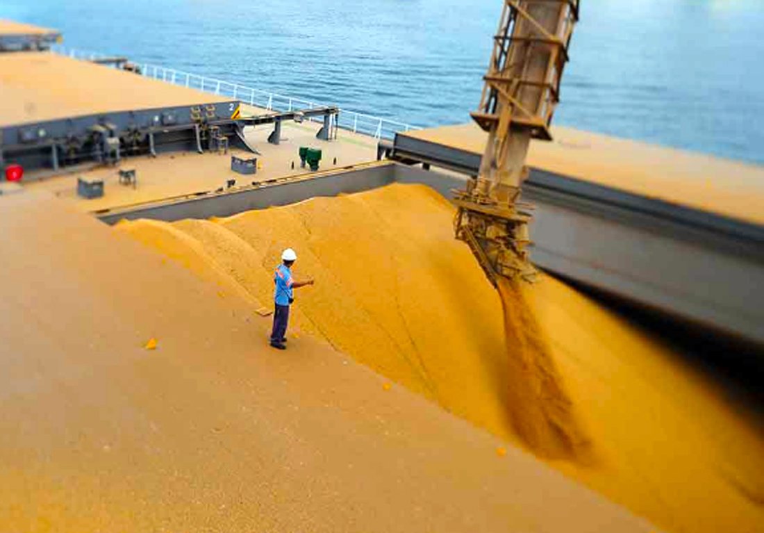 Oferta de milho em Mato Grosso aumenta com maior proteção de exportações