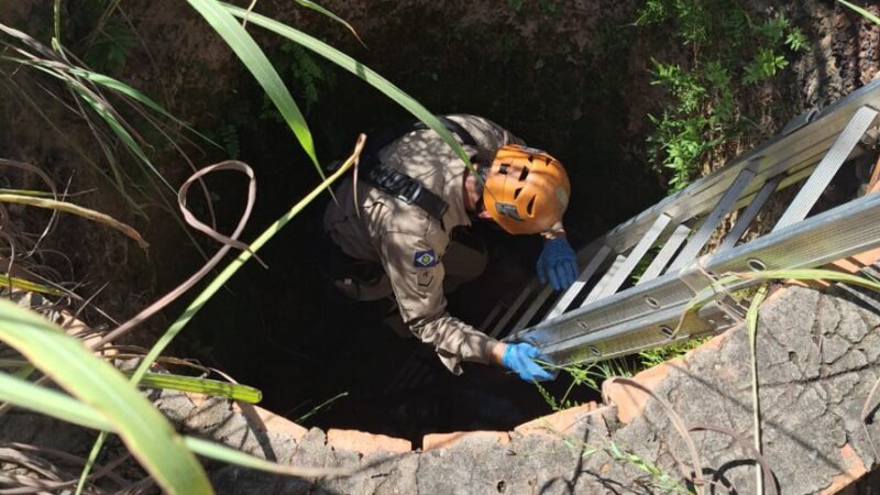 Homem desaparece e é encontrado em poço após surto psicológico em Várzea Grande