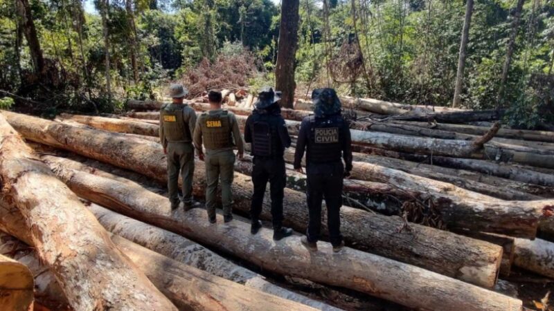 Operação Amazônia: Apreensão de 618 metros cúbicos de madeira em Apiacás