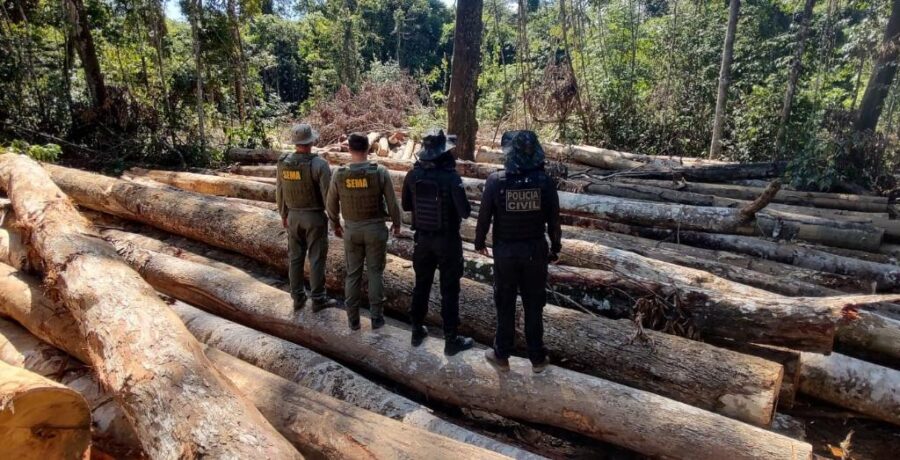 Operação Amazônia: Apreensão de 618 metros cúbicos de madeira em Apiacás
