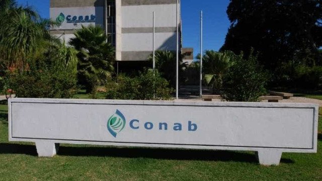 Batata, banana, laranja e melancia estão mais baratas, segundo a Conab