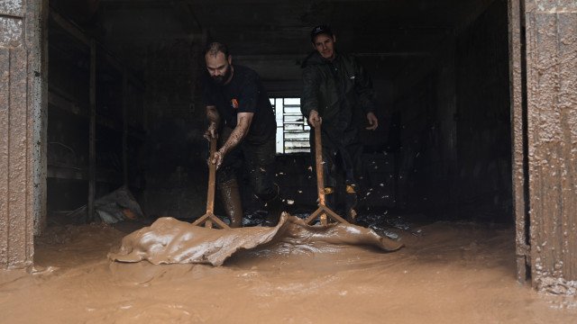 Rio Grande do Sul investiga mais de 800 casos suspeitos de leptospirose