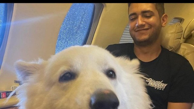 Henrique e Juliano ‘sequestram’ cães de Nattan e causam alvoroço na web