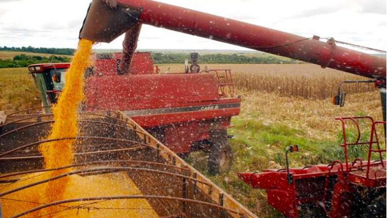 Mato Grosso mantém liderança na produção de grãos do país mesmo com redução na safra