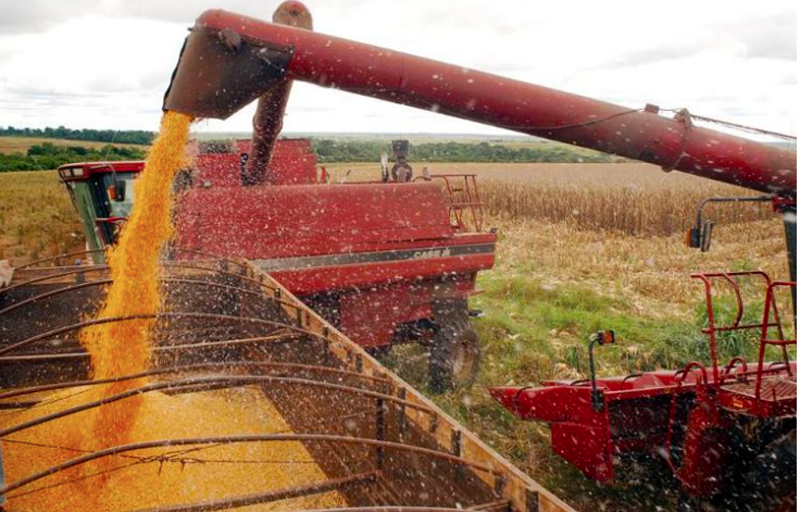 Mato Grosso mantém liderança na produção de grãos do país mesmo com redução na safra