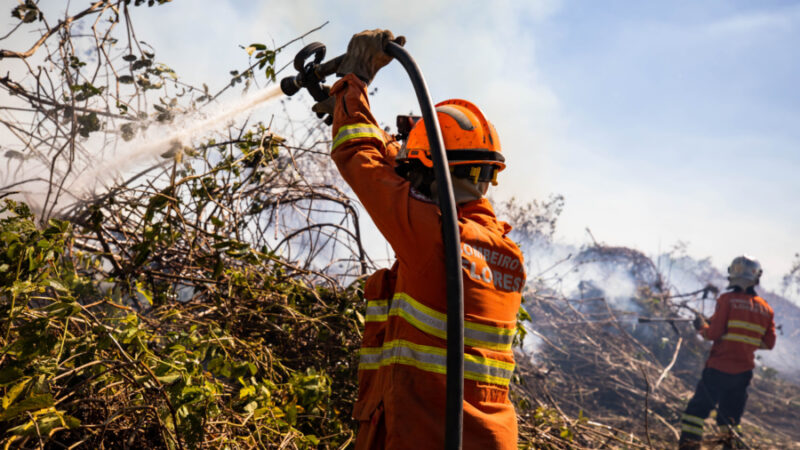 Corpo de Bombeiros reforça equipes de combate aos incêndios florestais no Pantanal