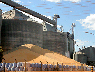 Déficit de armazéns em Mato Grosso para safra de milho é de 34 milhões de toneladas