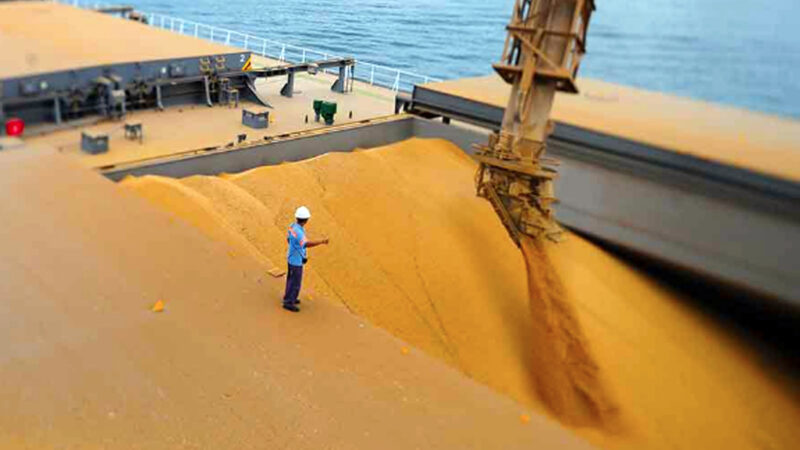 Volume de soja exportada por Mato Grosso fica 7,9% abaixo da média