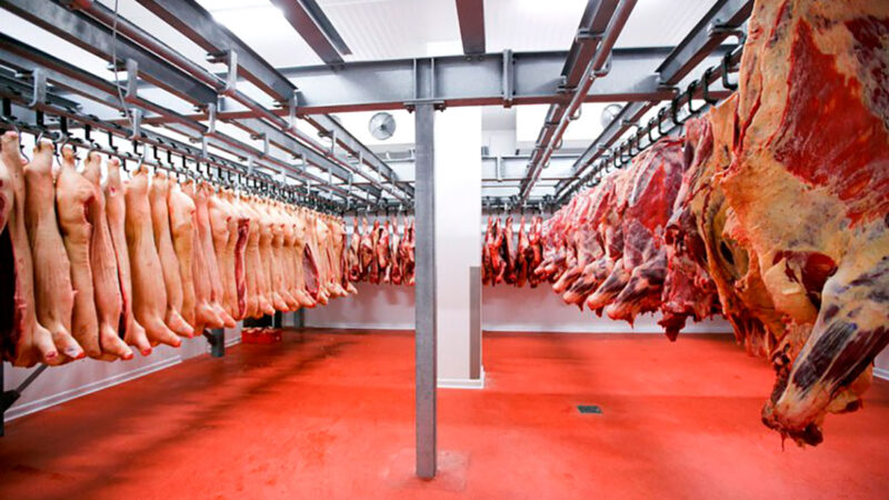 Exportações de carne de Mato Grosso ficam acima da média; China reduz compra em 21%