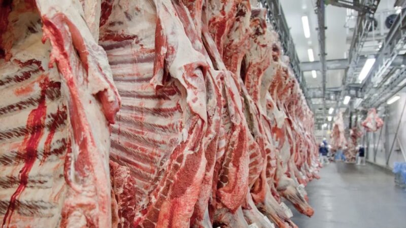 Mato Grosso tem maior volume de carne vermelha produzida nos últimos anos