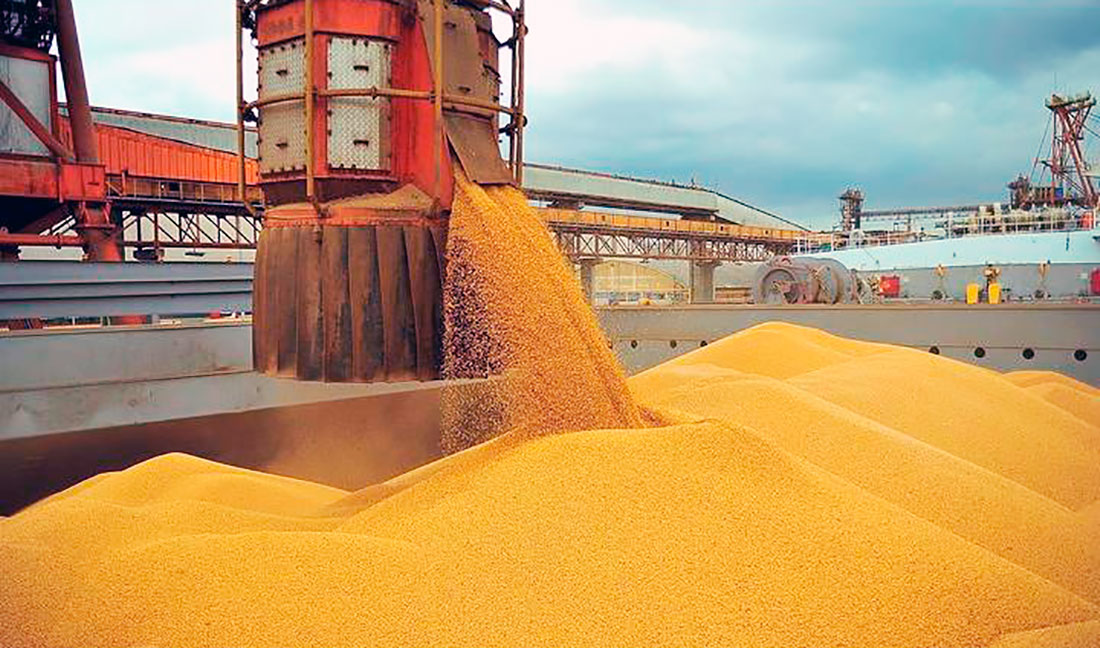 Exportações de milho de Mato Grosso aumentam; China compra 55%