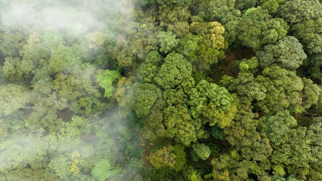 Inmet: El Niño sai neste mês e La Niña chega em julho