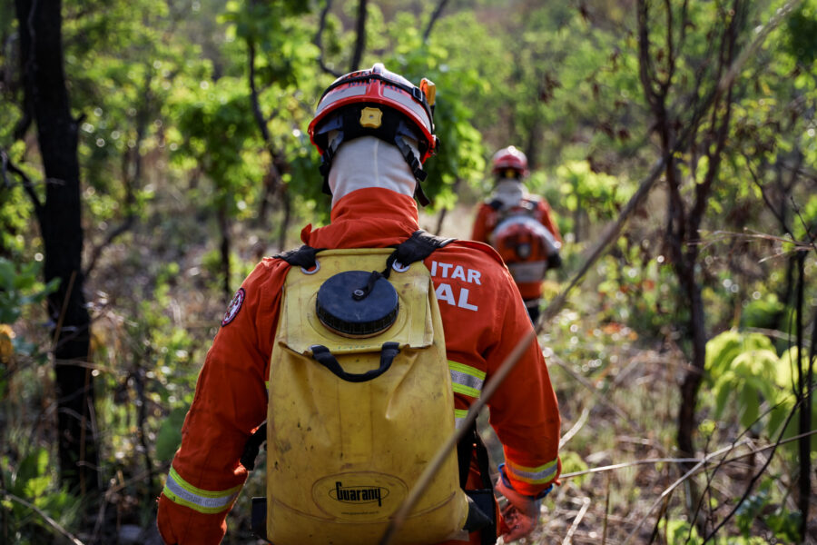 Bombeiros de Mato Grosso combatem incêndio florestal em Cáceres