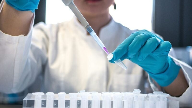 Mais Médicos: edital tem 33 mil inscritos; 10,4 profissionais por vaga