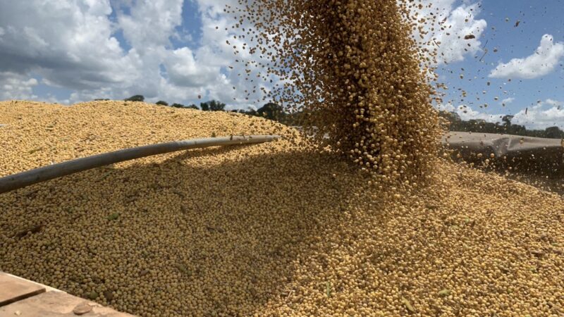 Preço da soja disponível em Mato Grosso tem queda de 0,95%