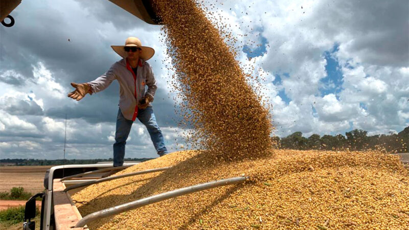 Oferta de soja em Mato Grosso sobe 9,8%