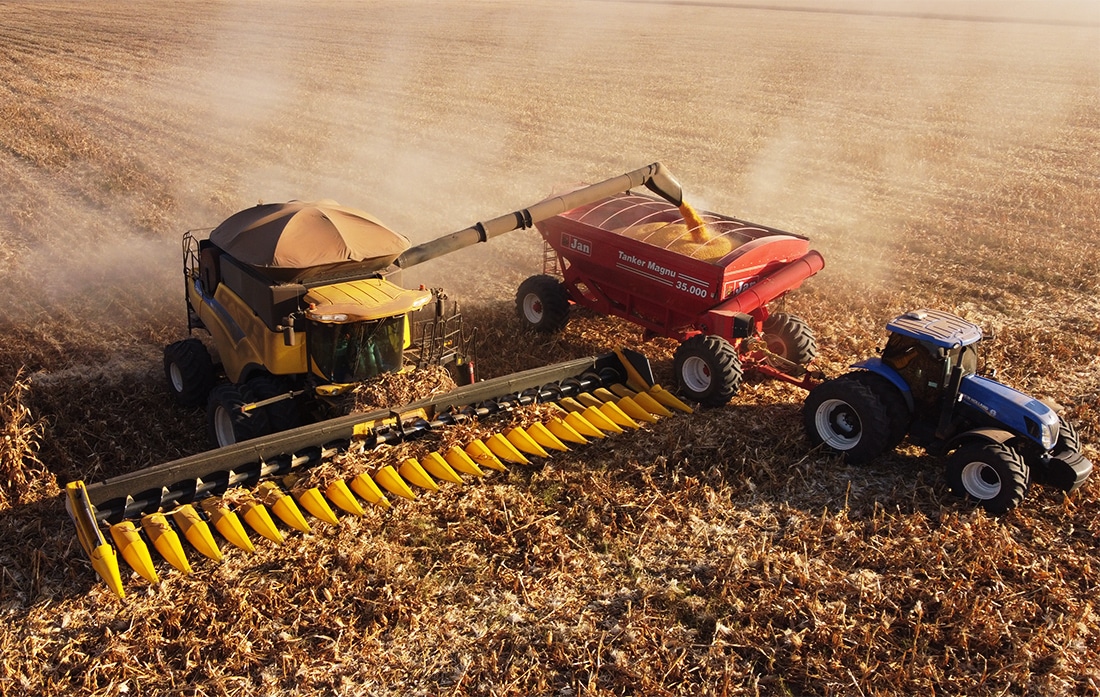 Colheita de milho em Mato Grosso entra na reta final, adiantada no Nortão e Médio Norte