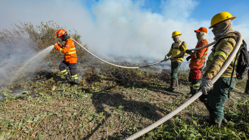 Bombeiros intensificam combate a incêndios em Mato Grosso: Ações abrangem diversas regiões