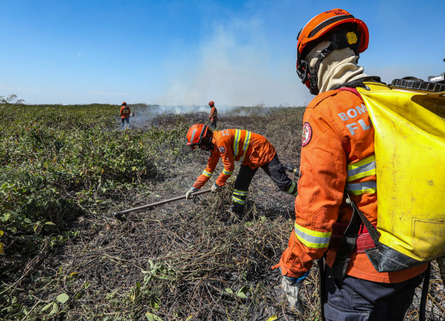 Corpo de Bombeiros de Mato Grosso abre inscrições para contratação de brigadistas: Guarantã está na lista