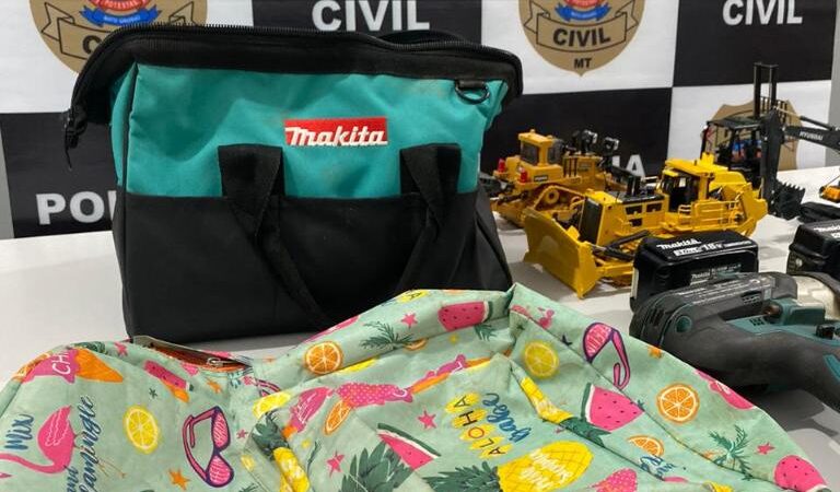 Polícia Civil prende autor de furtos em Matupá e recupera produtos roubados